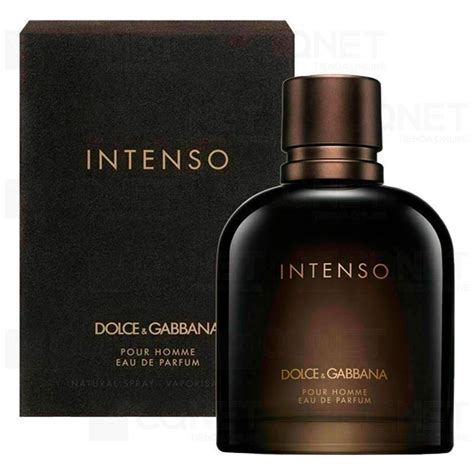 dolce gabbana intenso duschgel|dolce gabbana pour homme.